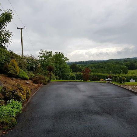 Collinstown  Highfield House Bed And Breakfast Collinstown מראה חיצוני תמונה