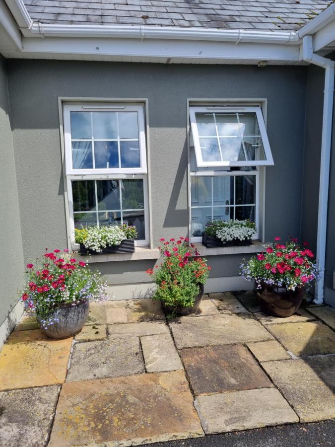 Collinstown  Highfield House Bed And Breakfast Collinstown מראה חיצוני תמונה