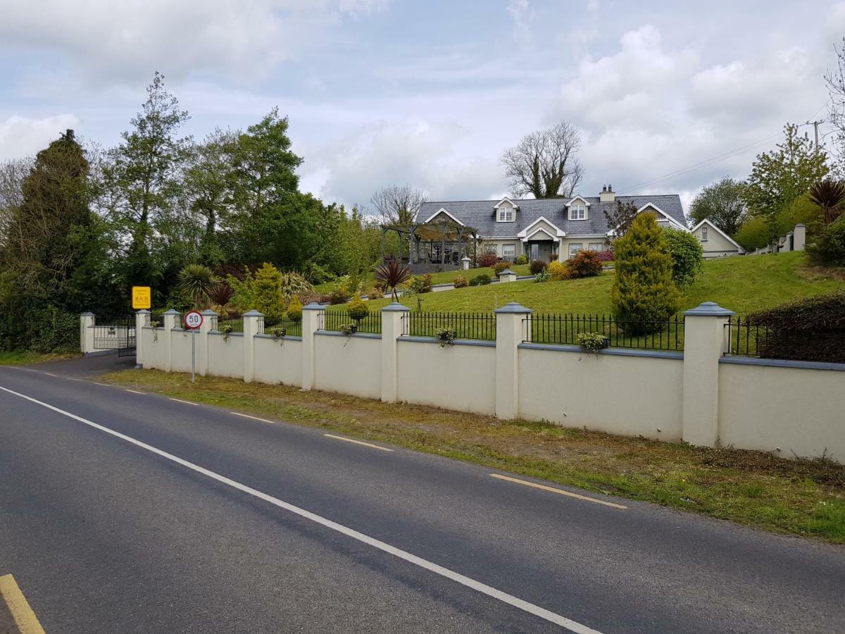 Collinstown  Highfield House Bed And Breakfast Collinstown מראה חיצוני תמונה